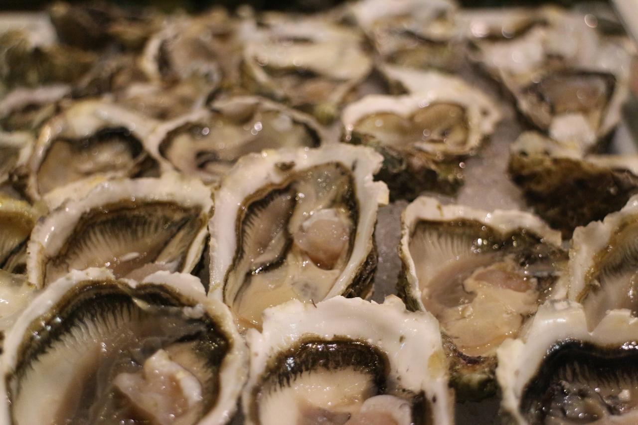 فندق كنزي كلوب أكدال المدينة - الشامل كلياً Lahebichate المظهر الخارجي الصورة Oysters